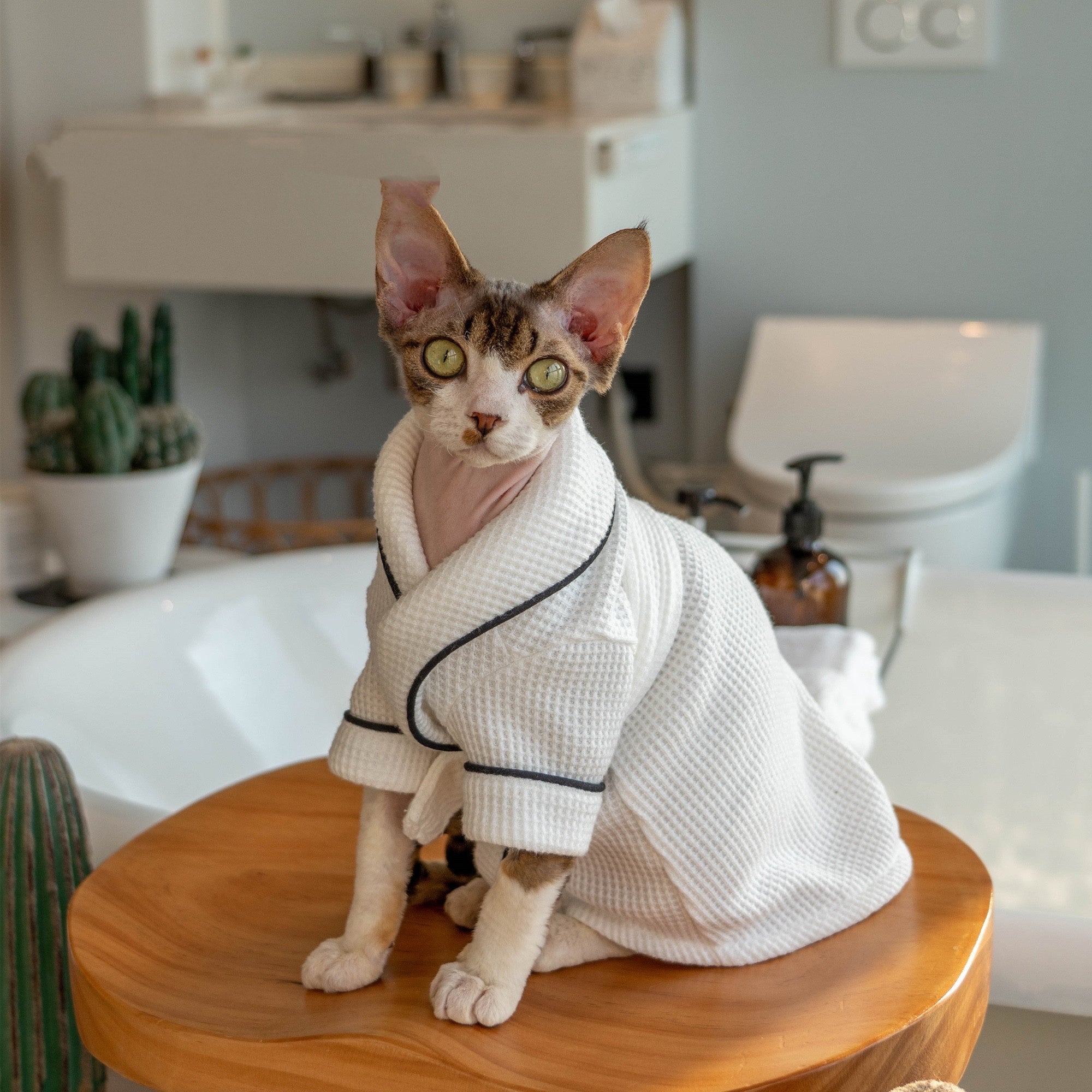 Soft Highly Absorbent Pet Bathrobe and Towel
