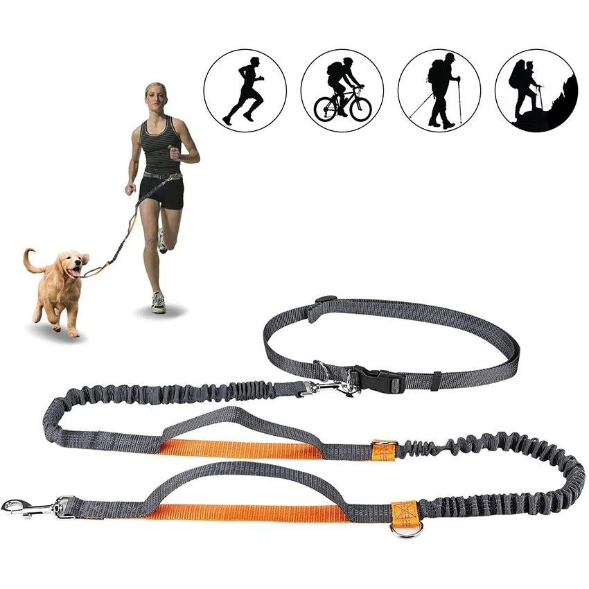 Adjustable Harness and Collar Set with Jogging-Friendly Pet Leash