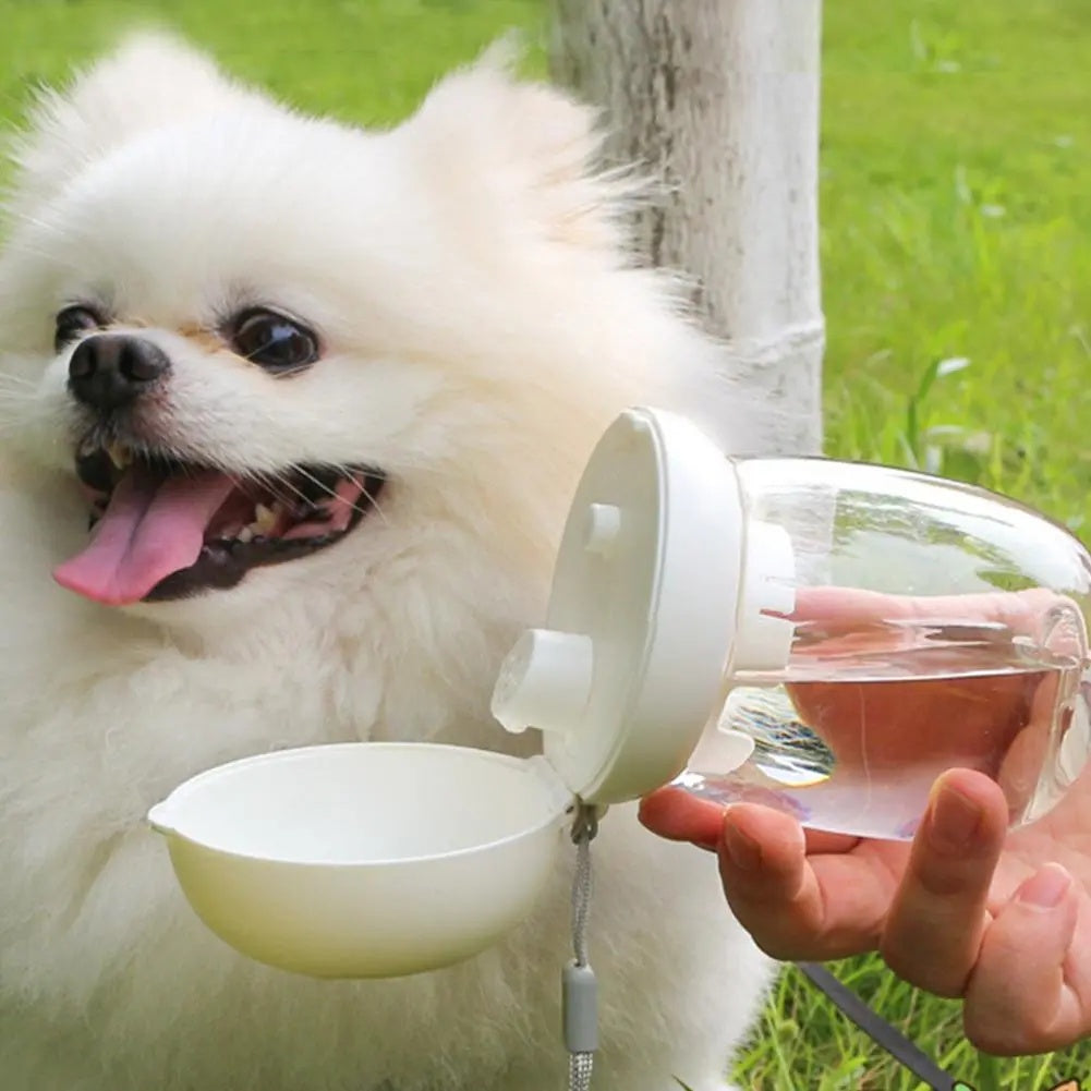 Portable Pet Water Bottle with Bowl and Lanyard for Cats & Dogs
