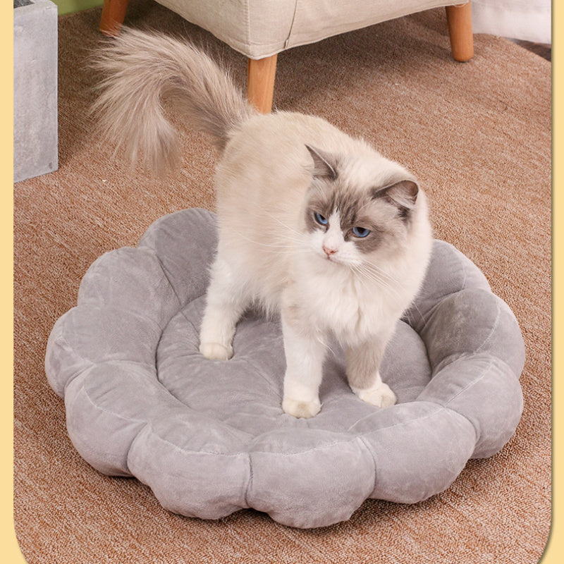 50x50cm Double-Sided Plush Petal Bed for Cats & Dogs