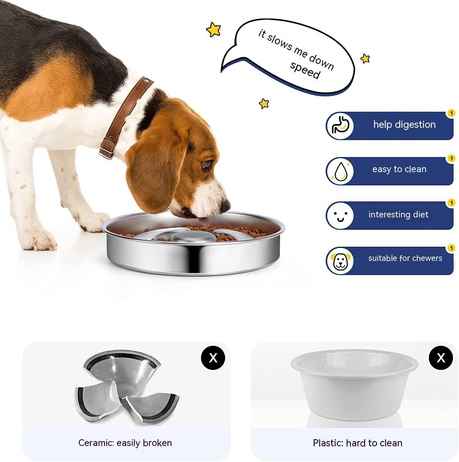Stainless Steel Slow Feeding Bowl with Neck Protector