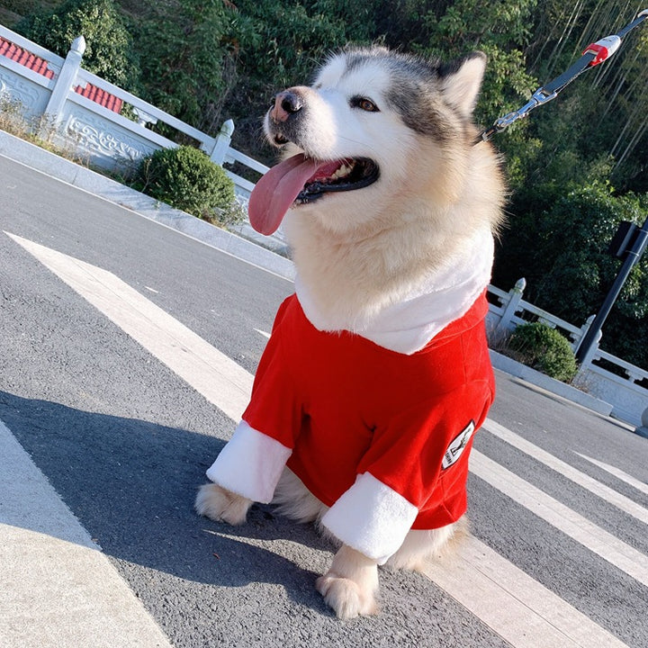 Teddy Bear Style Dog Clothes for Golden Retrievers