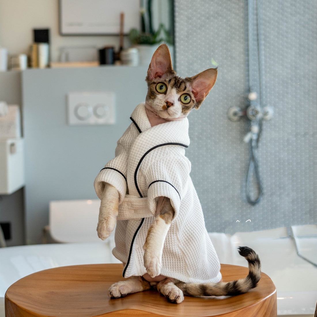 Soft Highly Absorbent Pet Bathrobe and Towel