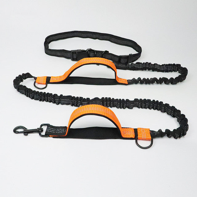 Adjustable Harness and Collar Set with Jogging-Friendly Pet Leash