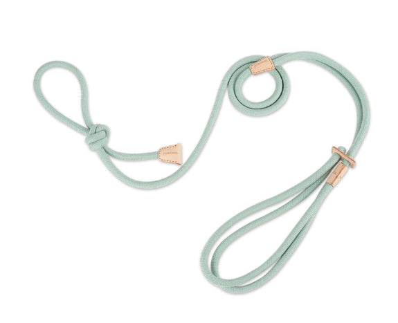 Multi-Functional Pet Chest Harness with Anti-Burst Leash for Safety