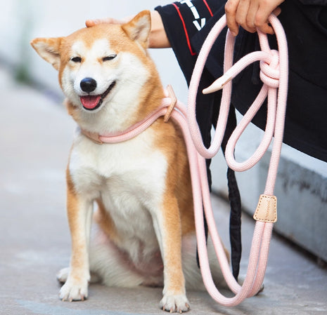 Multi-Functional Pet Chest Harness with Anti-Burst Leash for Safety
