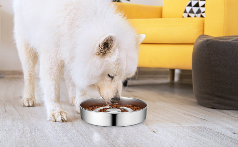 Stainless Steel Slow Feeding Bowl with Neck Protector