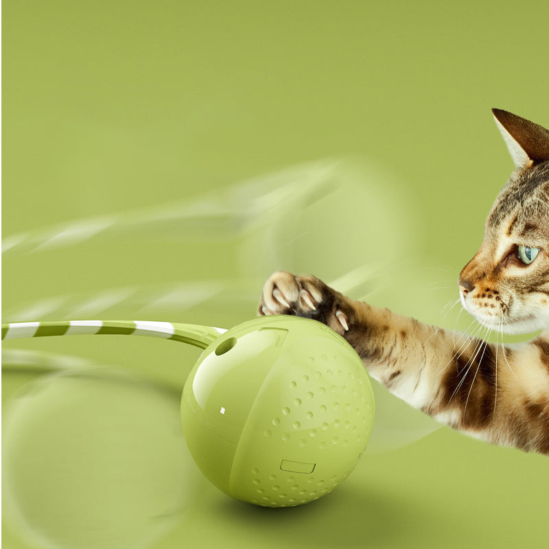 Interactive Electric Cat Ball Toy with Touch Sensor