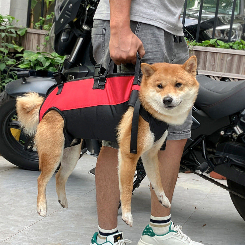 Multifunctional Outdoor Pet Backpack for Airborne and Walking Use